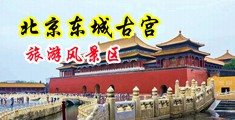 小穴高潮喷水视频中国北京-东城古宫旅游风景区